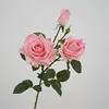 Ibisco a 3 teste rosa-rosa scuro