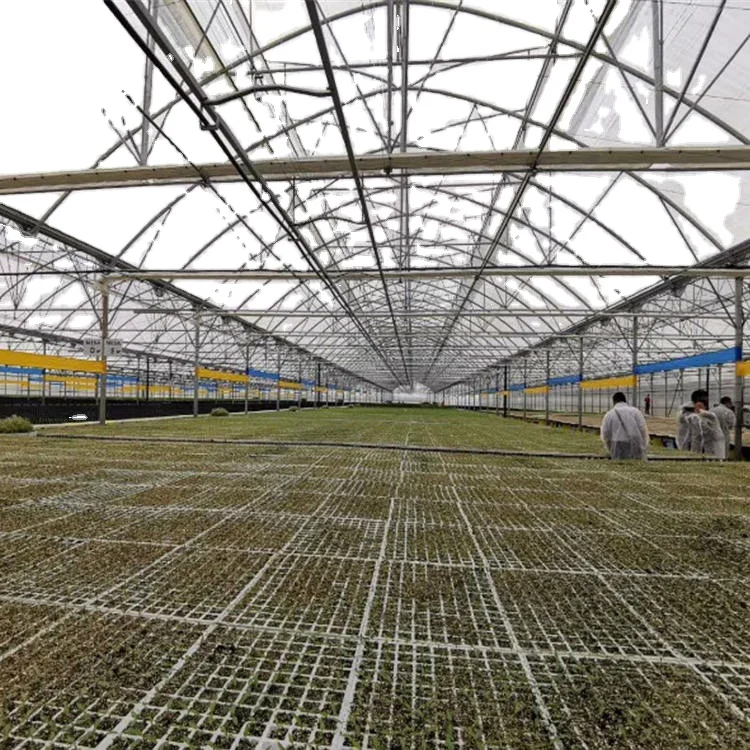 Factory Direct 1000M2 Greenhouse Smart English Design with PVC and Film Material
