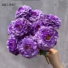 Pourpre