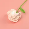 Finished carnation flower branch (Champagne)