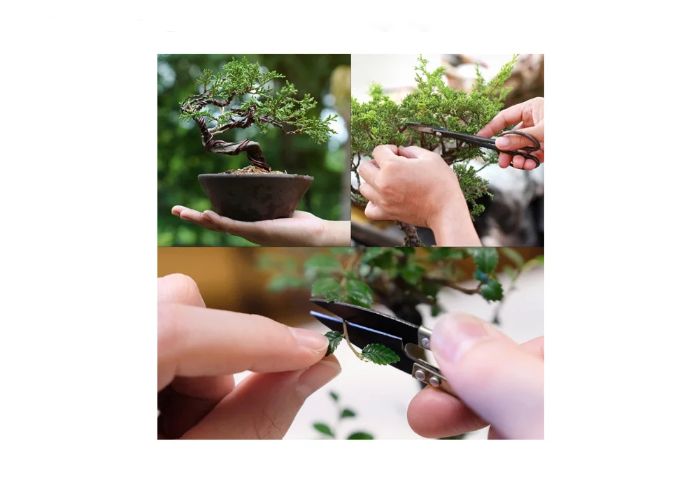 Modern Country-Style Bonsai Kit with 8 Small Terrarium Stand and Artificial  Flower Pots for Indoor Home Garden Planting