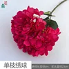 Monohydrangea SK rosa roja