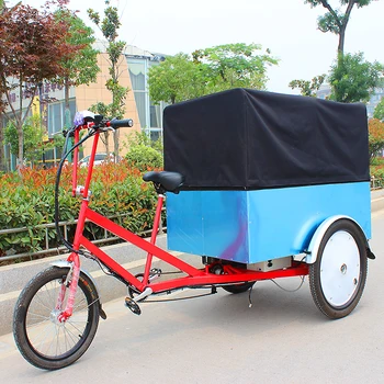 goods electric truck delivery tricycle with 500w motor e-cargo tricycle