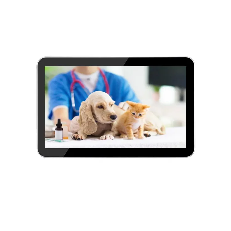 High Resolution Veterinary Endoscopy for Large and Small Animals Vet Video Endoscope