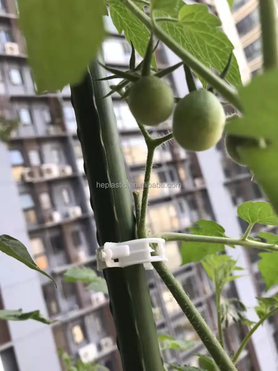 100 Clip Per Orchidee E Piante Rampicanti In Plastica Trasparente - Supporto Per Steli, Attrezzi Da Giardino, Fissaggio Per Viti, Pomodori, Fiori - 3