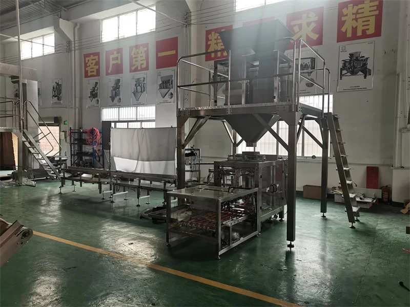High Productivity Automatic Ice Packing Machine Tube Ice Packing Machine 5kg Ice Cube Packing Machine