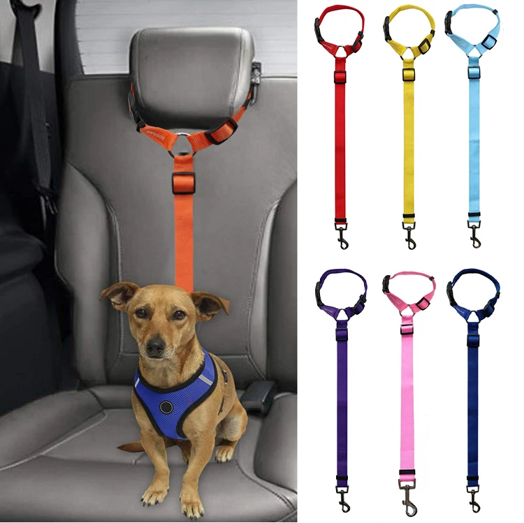 Fashion Attractive Design Seat Belt Dog Leash for Outdoor All Seasons