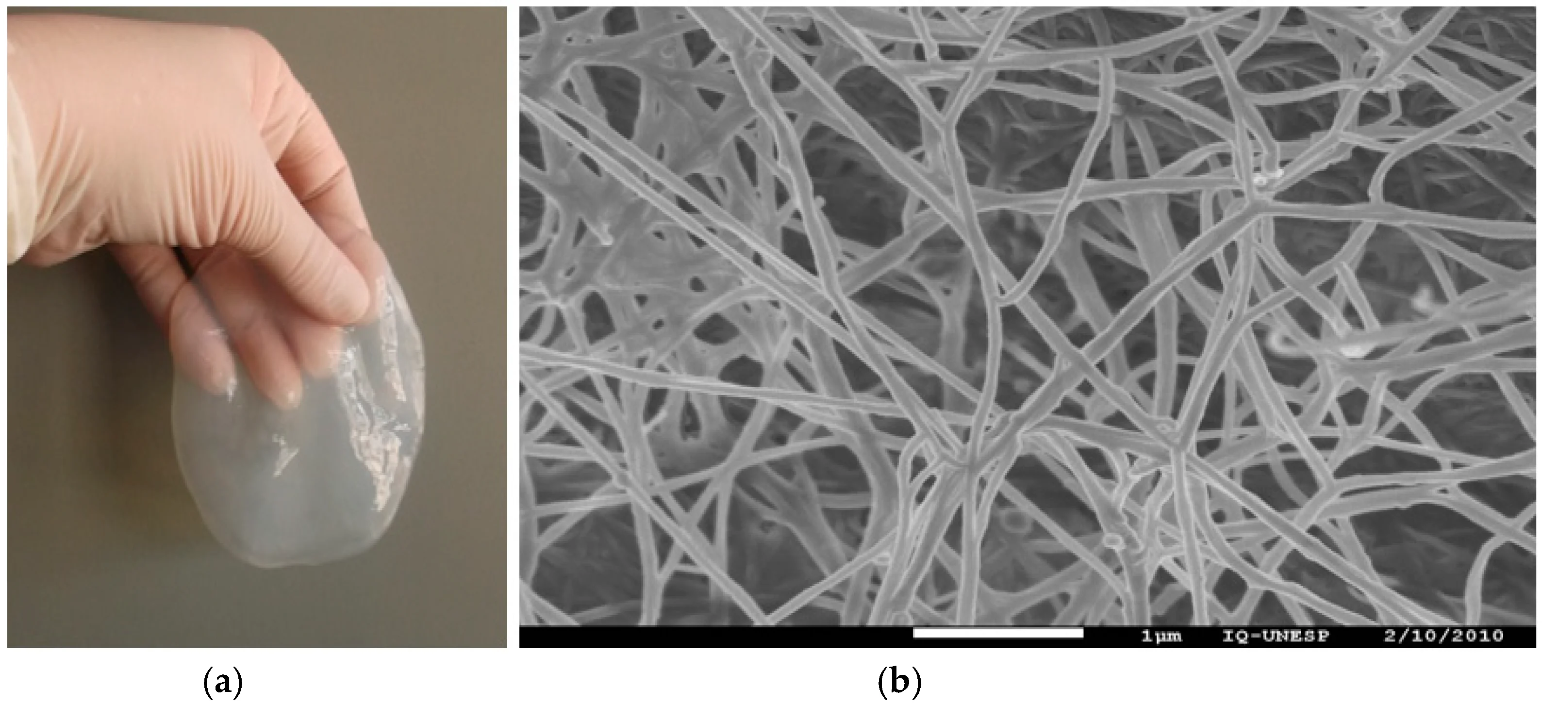 Surface Activity Cellulose C6H10O5 Nanocrystalline 10 Nm Cnc Cellulose ...