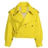 Giallo