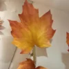 สีส้ม