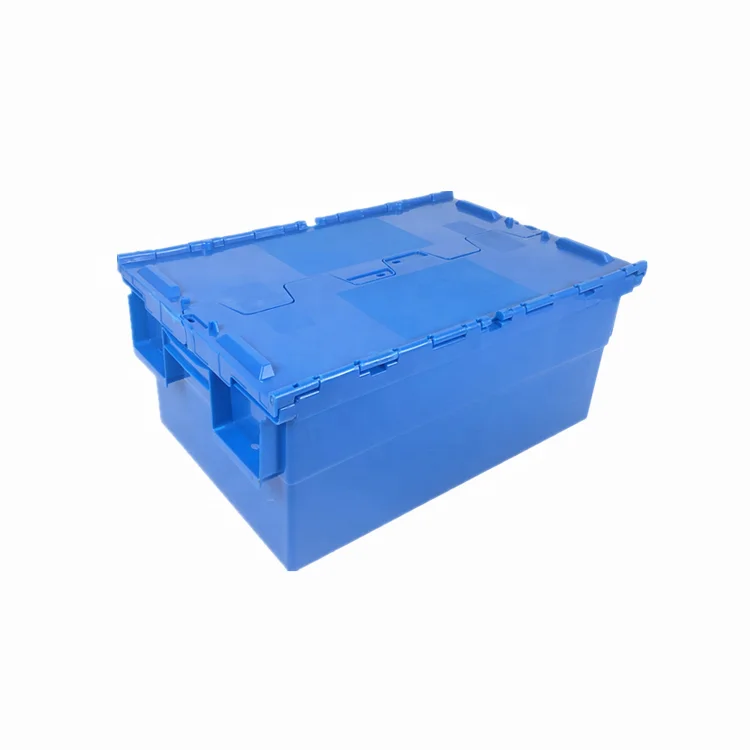 Contenitore Portatile da 50L per Frutta e Verdura in Plastica per il Trasporto in Vendita