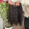 Burmese Curly