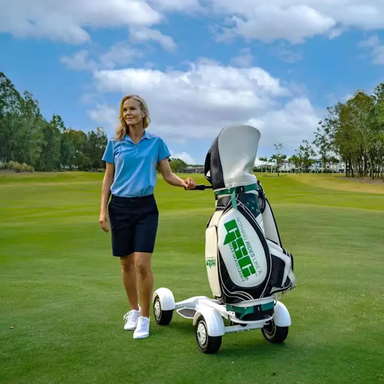 Fat tire golf board for women and men cheap prices three wheel golf cart electric scooter citycoco-666085