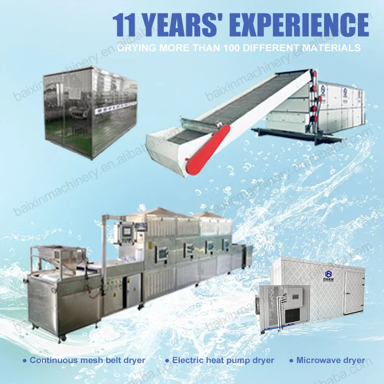 Ginger Washing Chopping Processing Machine 2tonshr Ginger Slice Drying Equipment