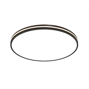 Led 26W Circle Lighting Ceiling Lamps Modern Simple Round Acrylic Flush Mount Ceiling Lights Fixture for Home Dinner Living Room