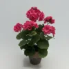 30cm tall cement pot P230520-30