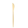 Dinner Knife- Thin Handle