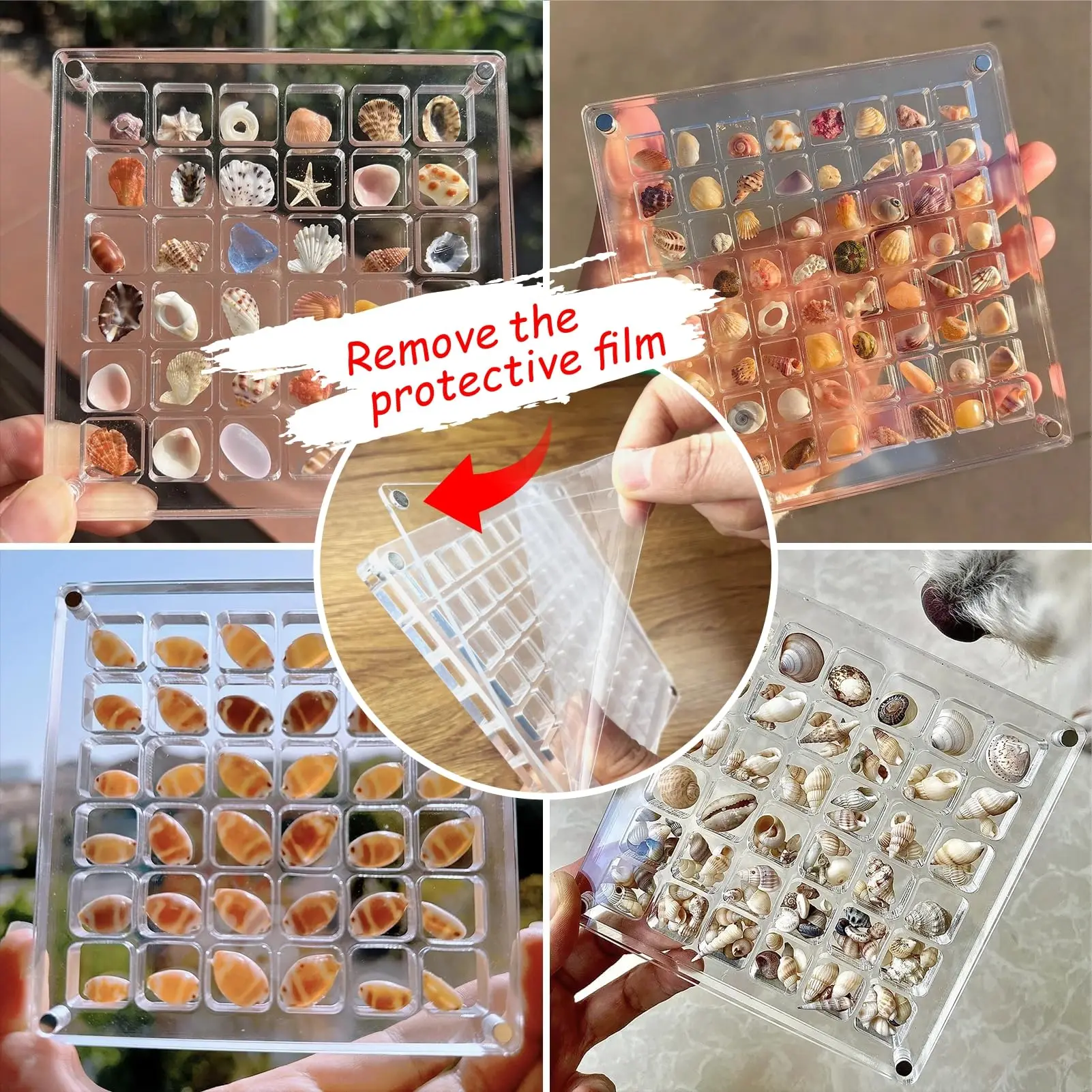 32/64 Grids Acrylic Magnetic Seashell Starfish Display Box Nail Diamond Gemstone Bead Jewelry Organizers Container details