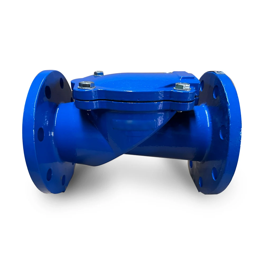 DN100 PN16 Cast Iron Rubber Flapper Type Manual Non Return Check Valve for Water ASIN Product