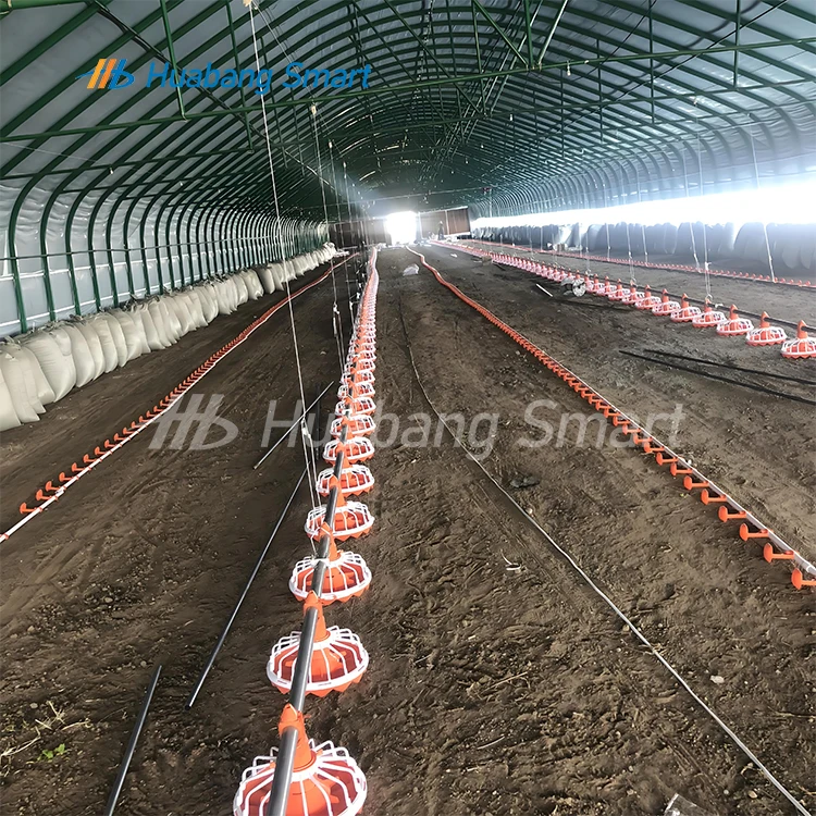 Cheap Price and Fast Shipping Automatic Feeders and Drinkers for Chickens