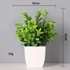 Foglie di magnolia verde