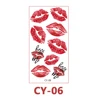 CY-06
