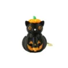 Calabaza de gato negro