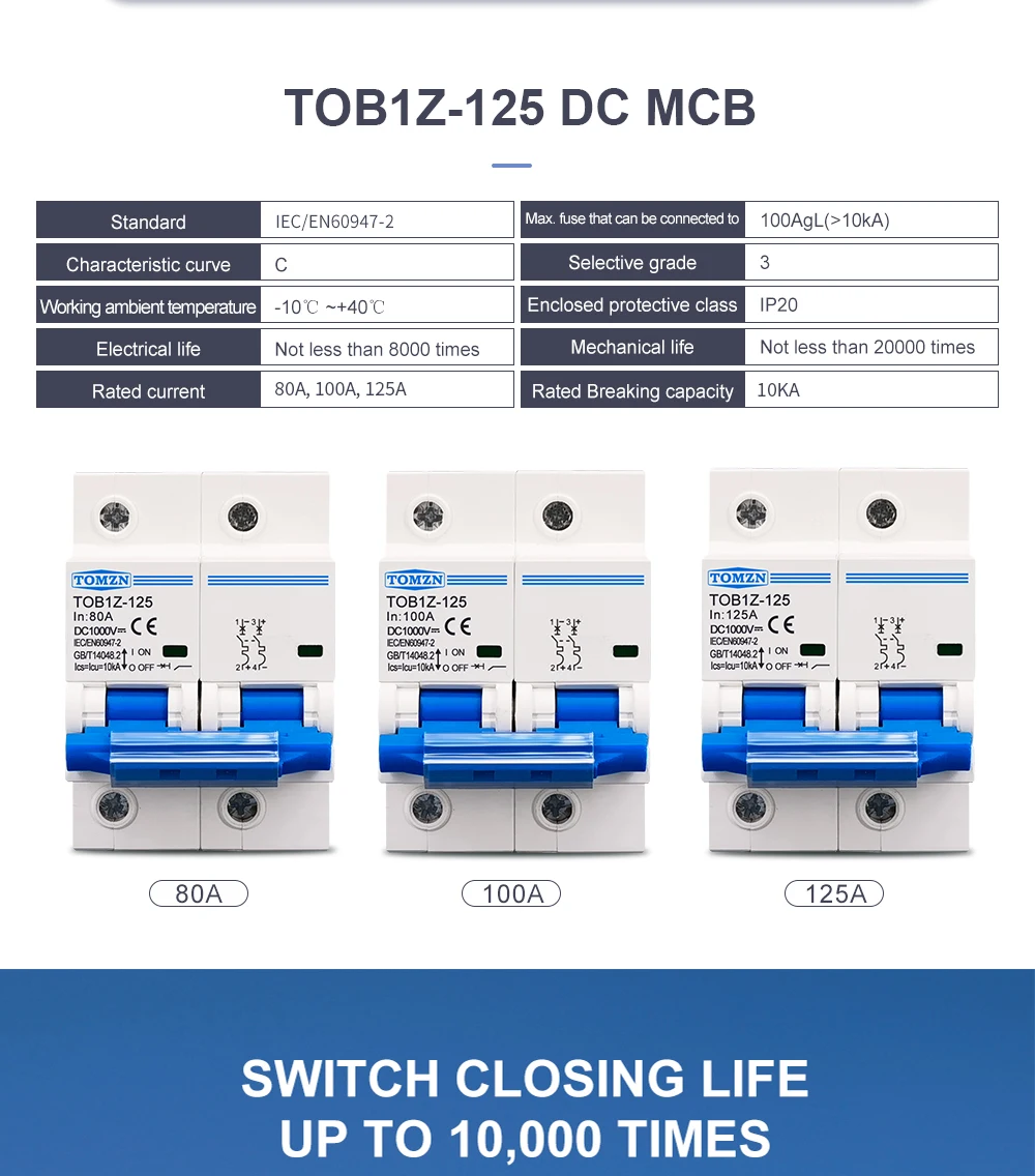 TOMZN 2P DC 1000V MCB 125A 100A 80A Circuit Breaker for PV System C Curve Battery Main Switch