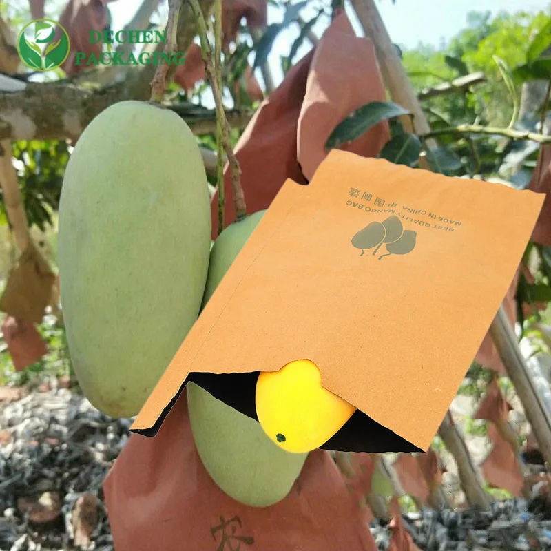 Bolsa de protección de manzanas en crecimiento OEM de papel de protección de frutas Kraft