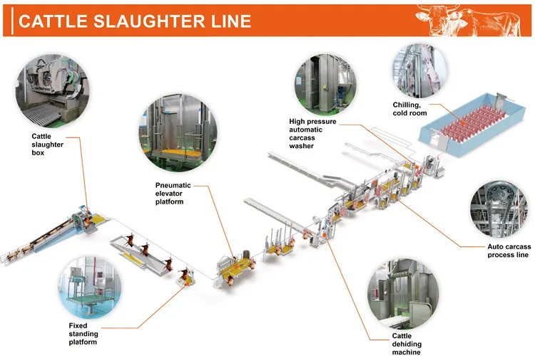 Ritual cattle slaughterhouse and cattle slaughterhouse meat traceability system equipment