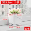 White, D style, 8.5cm, 1 piece