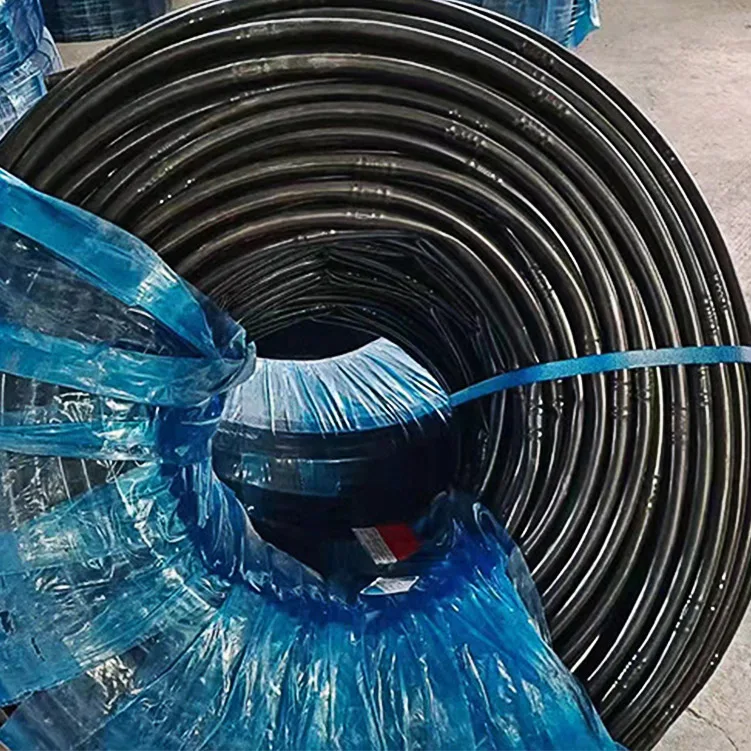 30 Mètres Longueur Tuyau D'irrigation Micro 30 M - Diamètre Intérieur 4 Mm, Extérieur 7 Mm, PVC Noir, Pour Arrosage Goutte à Goutte 30 Mètres Longueur Tuyau D'irrigation Micro 30 M - Diamètre Intérieur 4 Mm, Extérieur 7 Mm, PVC Noir, Pour Arrosage Goutte à Goutte