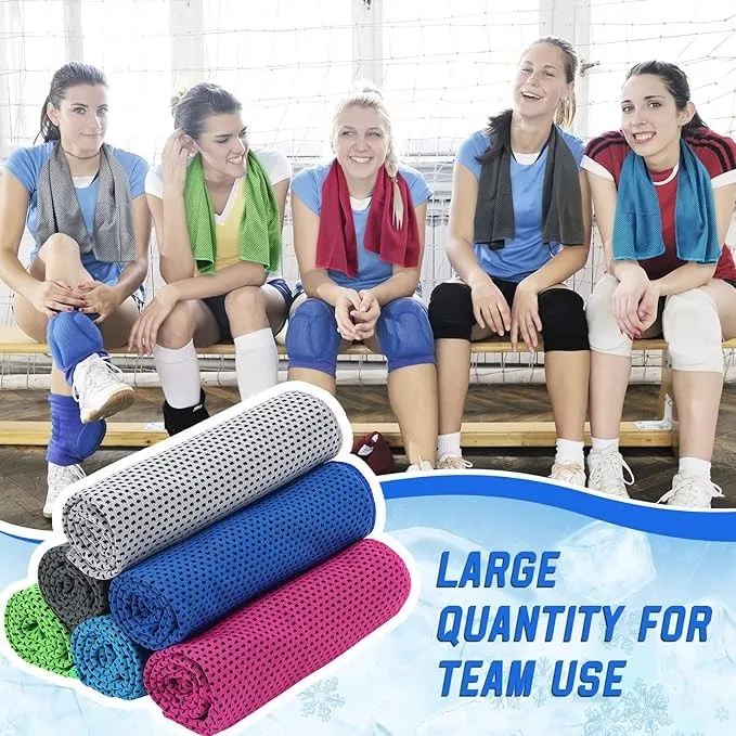 EN 2026 Summer Custom Logo Silicone 100% Microfiber Gym Towel Quick Dry Cold Towels with Case for Camping Fitness Sports Outdoor