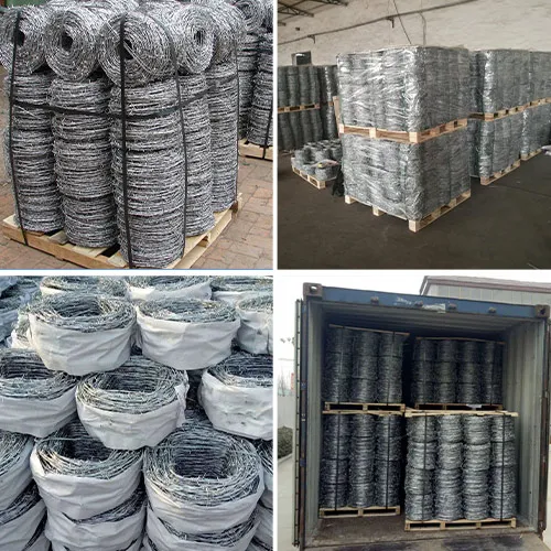 4 Point 12.5 Gage Barbed Wire 5kg Per Coil Galvanized Barbed Wire Cheap