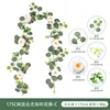 175cm Mixed Eucalyptus Vine - C