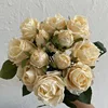 A style champagne color