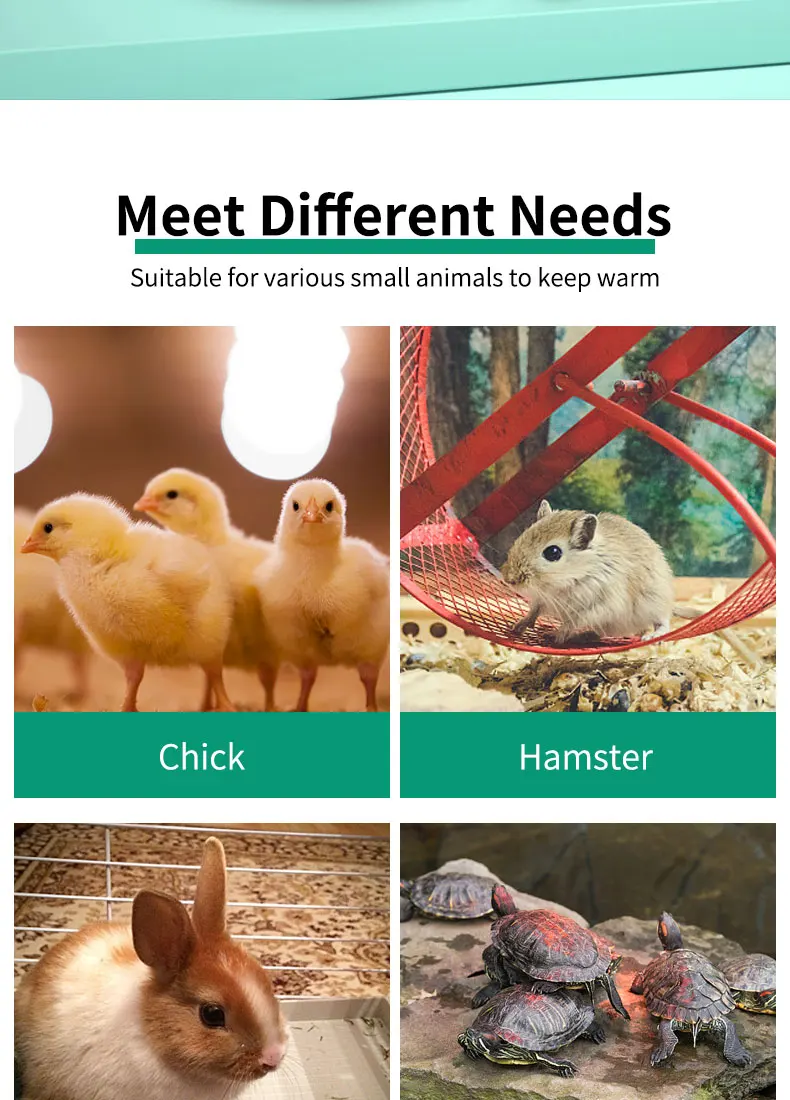 Temperature Controlled Air Heater For Chick Rabbit Tortoise Hamster