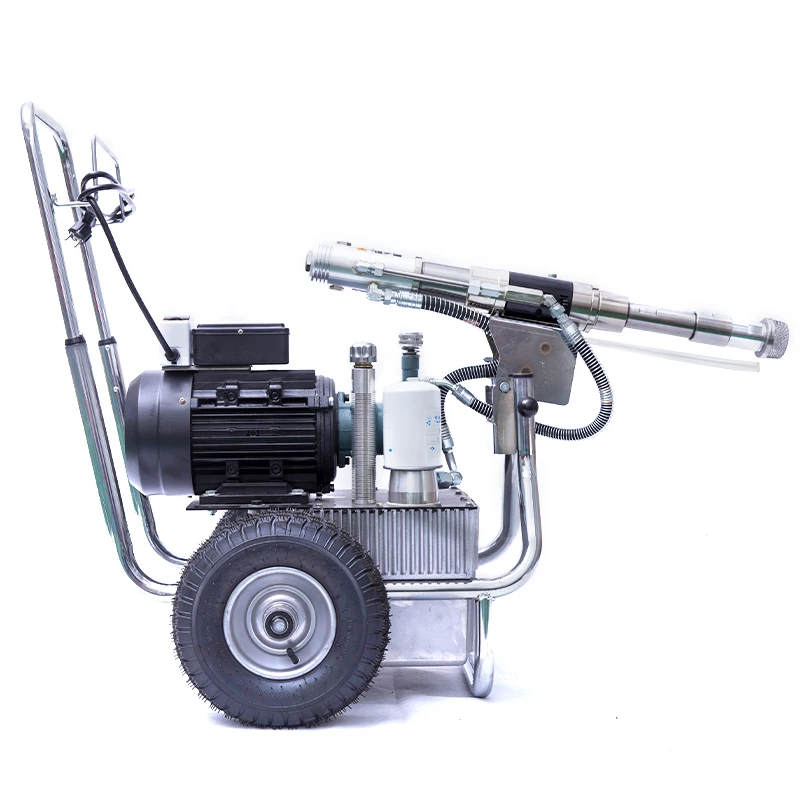 220v/50hz Diy Airless Paint Sprayer For Interior Renovation Electric