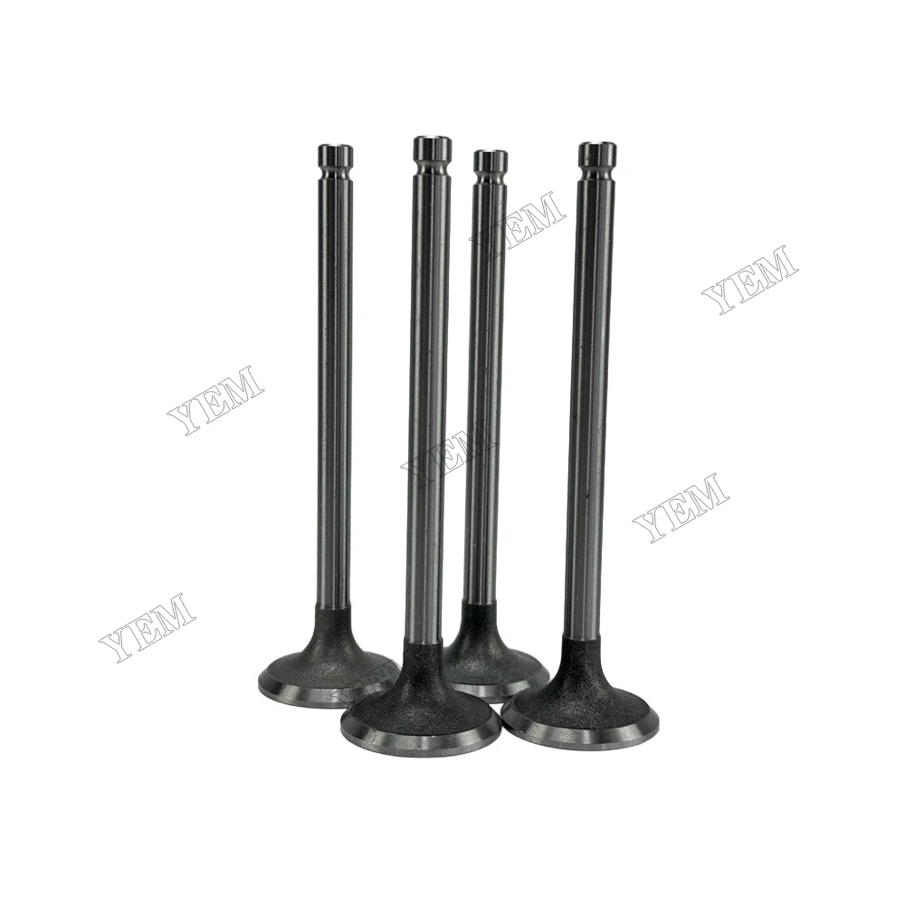 Exhaust Valve Fit for Xinchai C490BPG Engine 2