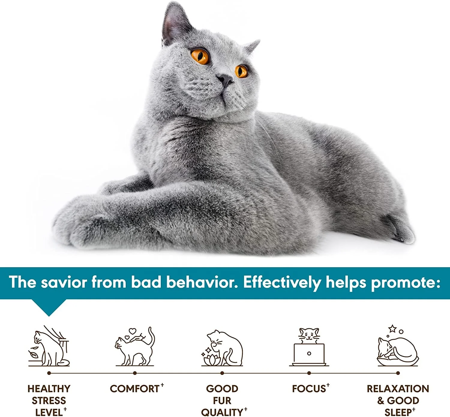 Oem Calming Chews For Cats With Anxiety And Stress Cat Calming Treats