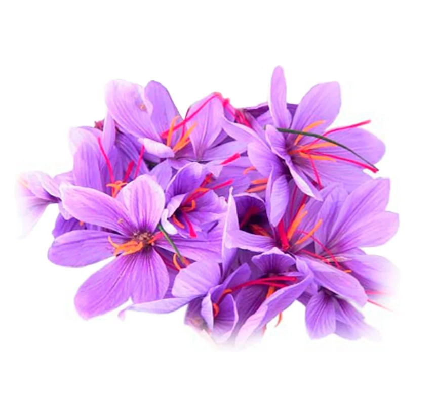 High Quality Kashmiri Mongra Saffron Totally Fresh Saffron Kesar To Sale At Best Price Buy Kashmiri Mongra Saffron High Quality Kashmiri Mongra Saffron Totally Fresh Saffron Kesar To Sale At Best