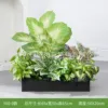 hc-Y60-9 es adecuado para jardineras de 60 cm.