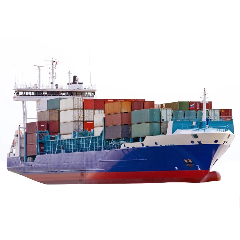 Fast Delivery DDP/DDU Sea Freight Forwarder From China to Philippines Southeast Asia LCL+Express Product