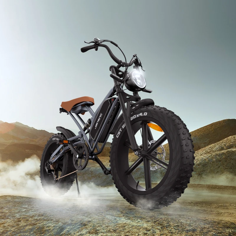 Full Suspension Dirt E Bike 750watt 20