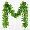 72 feuilles de patate douce vertes 2,1 m de long