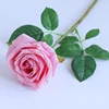 rosa intenso