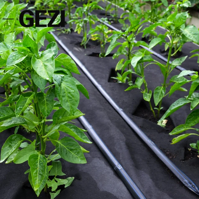 Hot Sale Weed Mat Pp Pe Woven Plastic Weed Control Block Mat Fabric Cloth Weed Barrier Non Woven