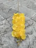 Yellow 2