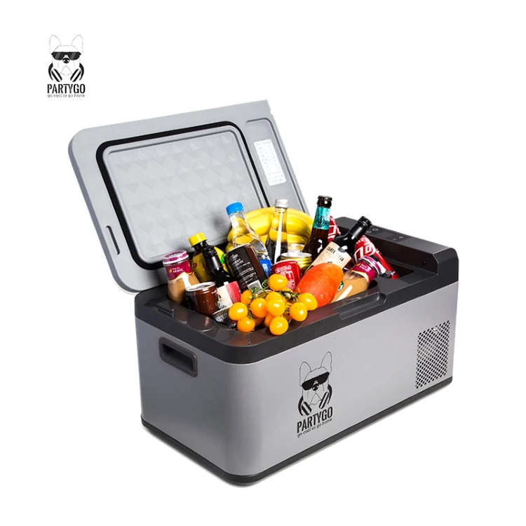 21л RV дорожный холодильник автомобильный с компрессором DC12/24 В мини-холодильник для консервации пищи дома улицы фургон