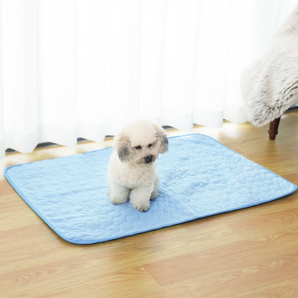 Wholesale Summer Cool Pet Pad Puppy Training Pee Pads for Dogs details